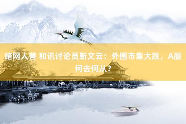 暗网人兽 和讯讨论员靳文云：外围市集大跌，A股何去何从？