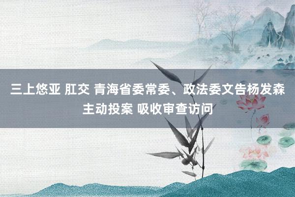 三上悠亚 肛交 青海省委常委、政法委文告杨发森主动投案 吸收审查访问