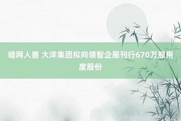 暗网人兽 大洋集团拟向领智企服刊行670万股用度股份