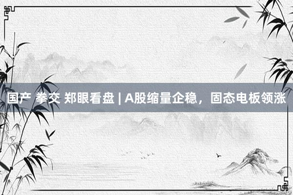 国产 拳交 郑眼看盘 | A股缩量企稳，固态电板领涨