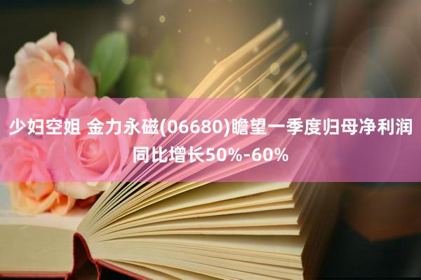 少妇空姐 金力永磁(06680)瞻望一季度归母净利润同比增长50%-60%